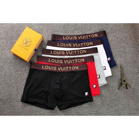 Louis Vuitton briefs